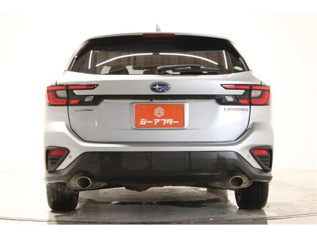 LEVORG