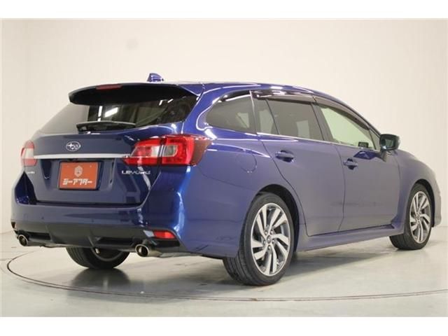 LEVORG