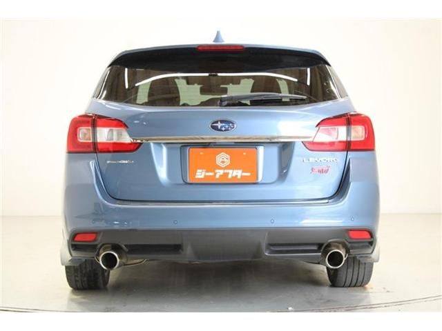 LEVORG
