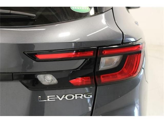 LEVORG