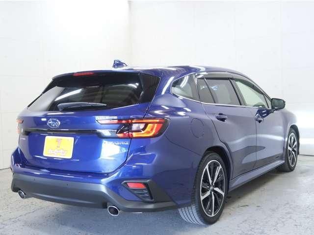 LEVORG
