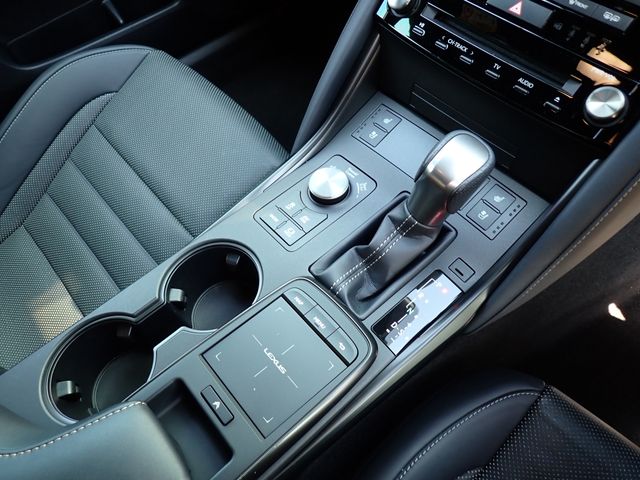 LEXUS IS300h