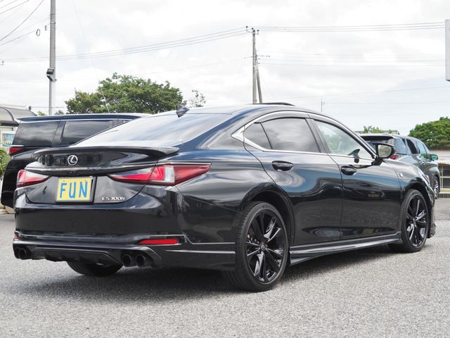 LEXUS ES300h