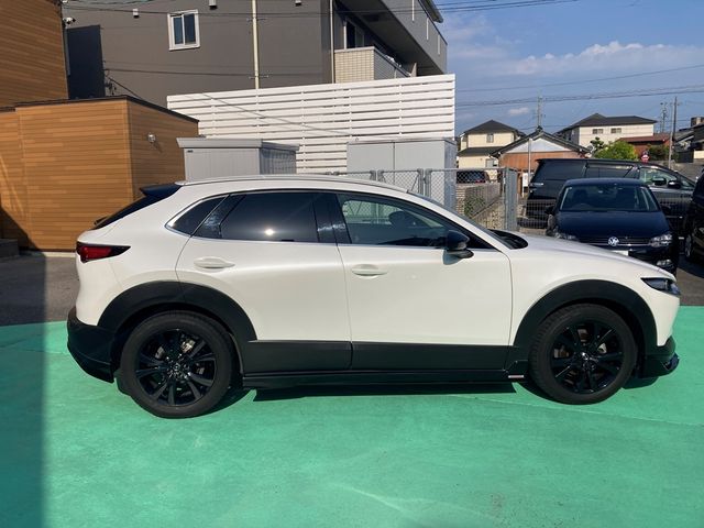 CX-30
