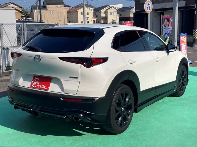 CX-30