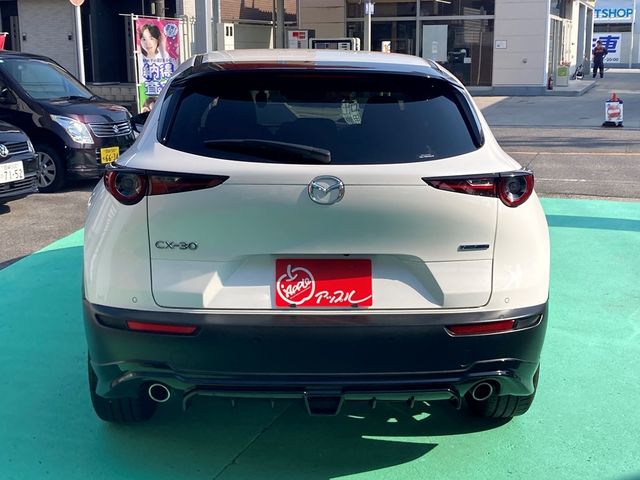 CX-30