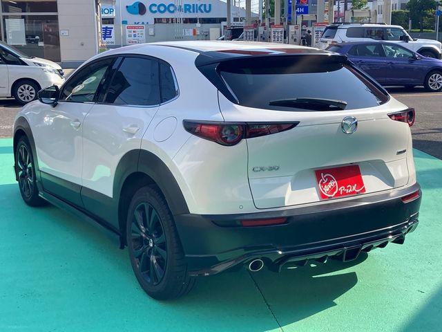 CX-30