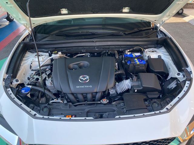 CX-30