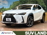 LEXUS UX250h
