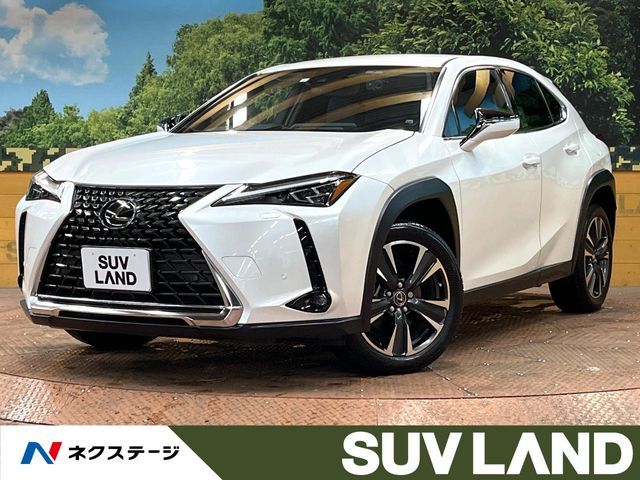 LEXUS UX250h