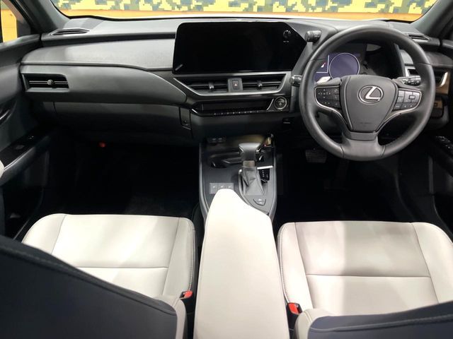LEXUS UX250h