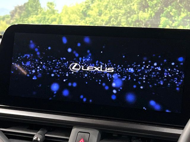 LEXUS UX250h