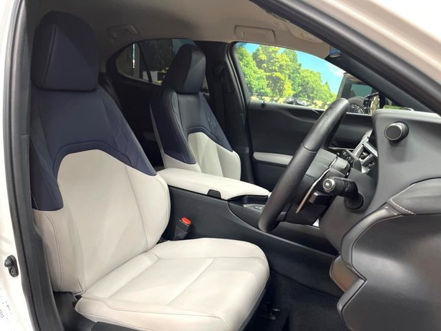 LEXUS UX250h