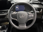 LEXUS UX250h