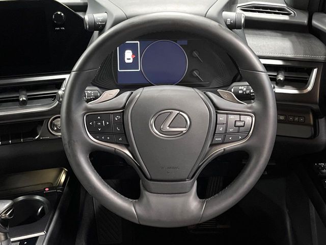 LEXUS UX250h