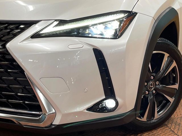LEXUS UX250h
