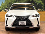 LEXUS UX250h