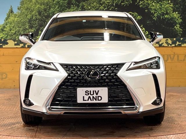 LEXUS UX250h