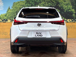 LEXUS UX250h