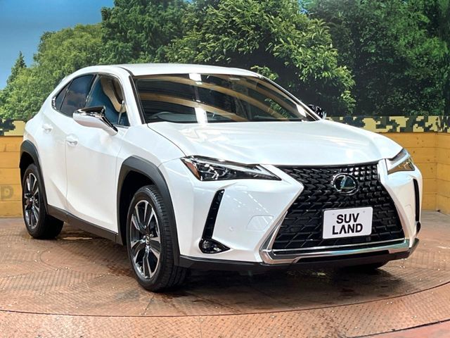 LEXUS UX250h