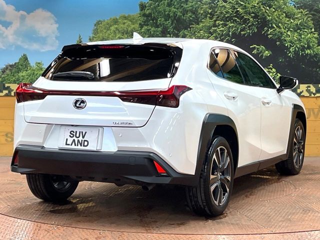 LEXUS UX250h