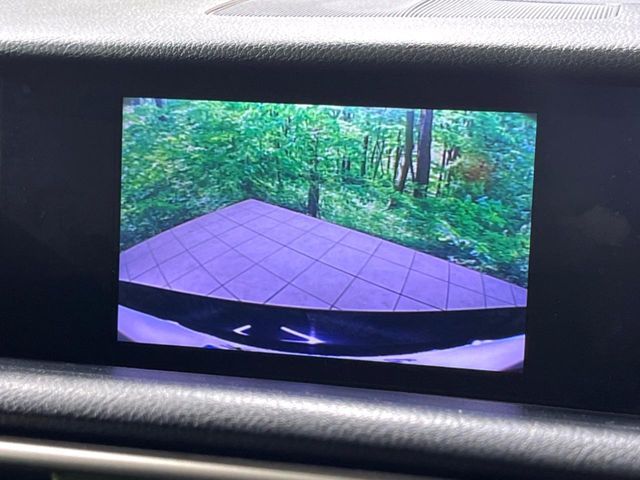 LEXUS IS300h