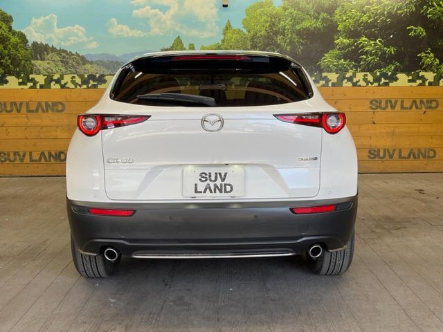CX-30