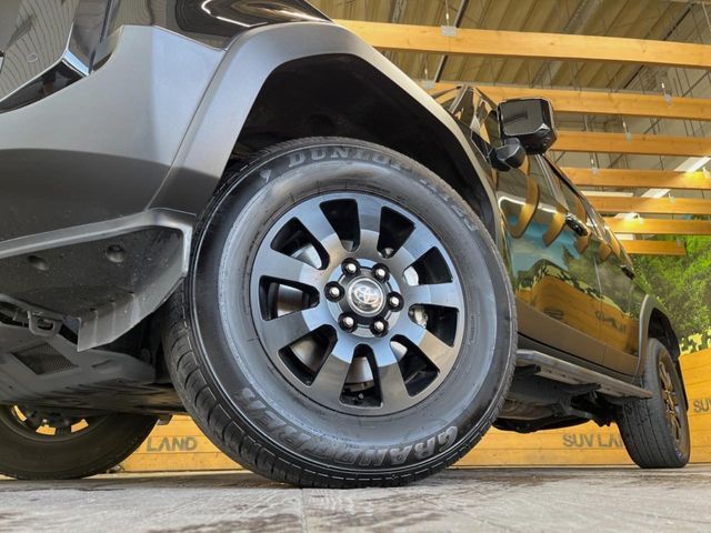 LANDCRUISER 250