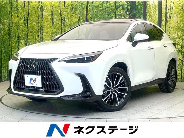 LEXUS NX250