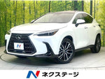 LEXUS NX250