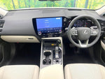 LEXUS NX250