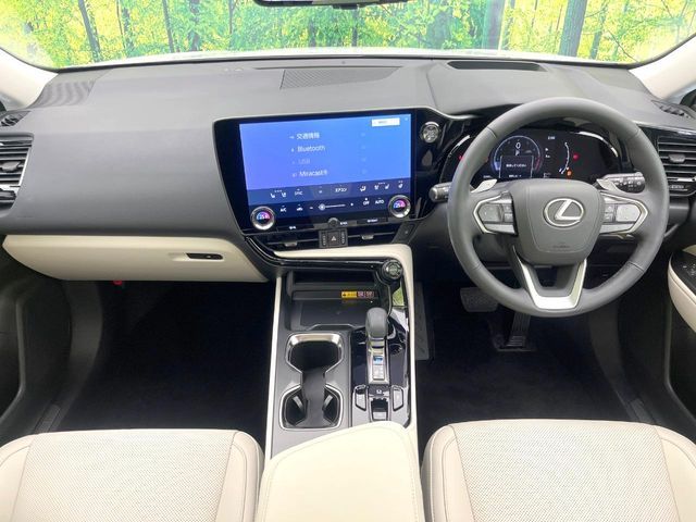 LEXUS NX250