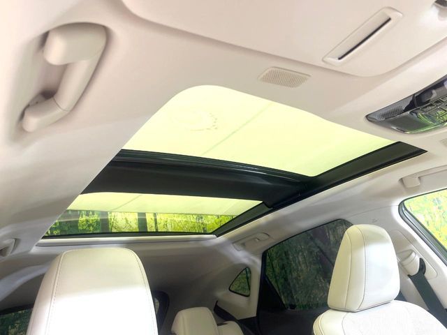 LEXUS NX250