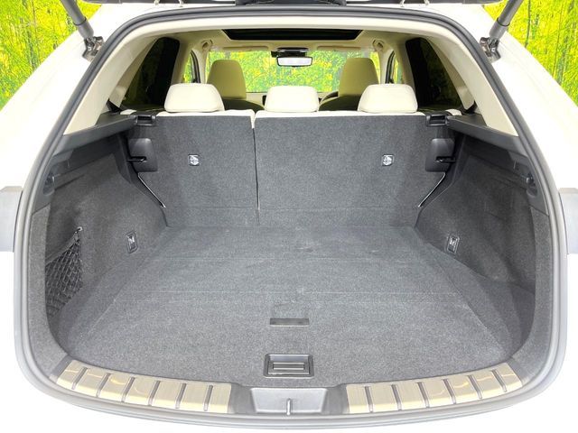 LEXUS NX250