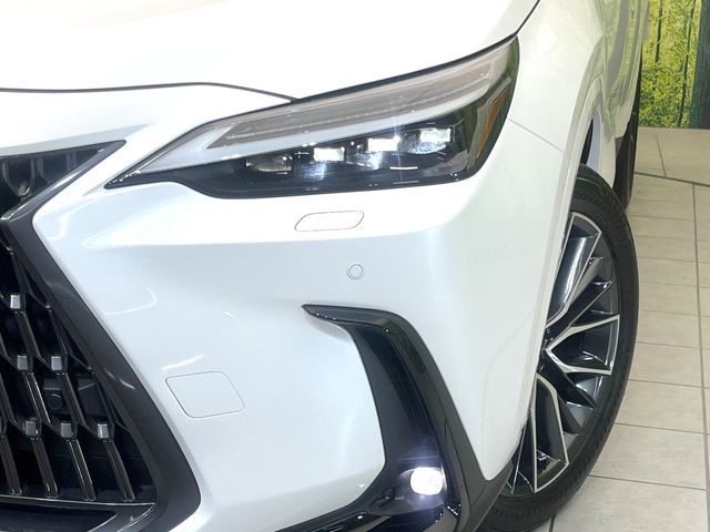 LEXUS NX250