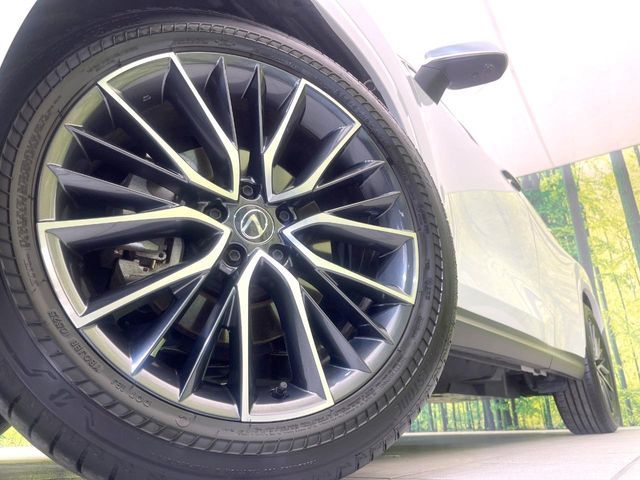 LEXUS NX250