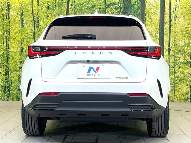 LEXUS NX250