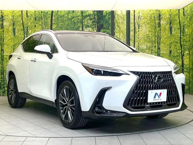 LEXUS NX250
