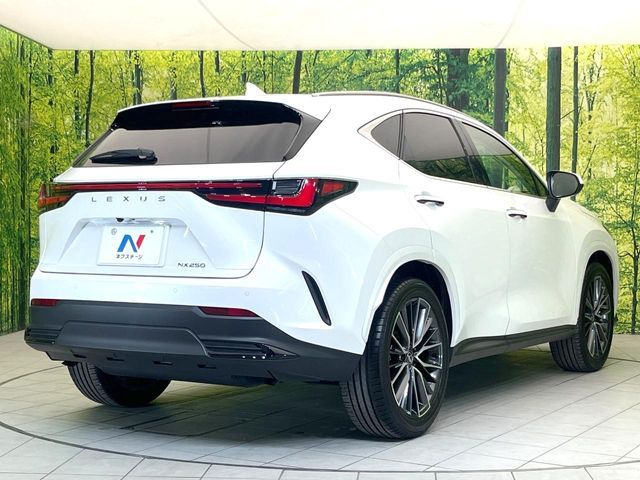 LEXUS NX250