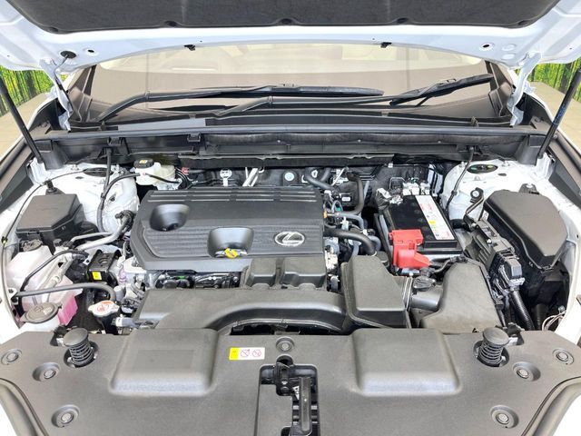 LEXUS NX250