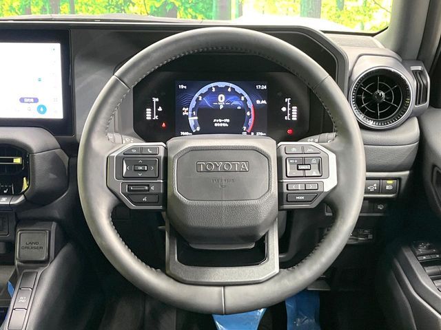 LANDCRUISER 250