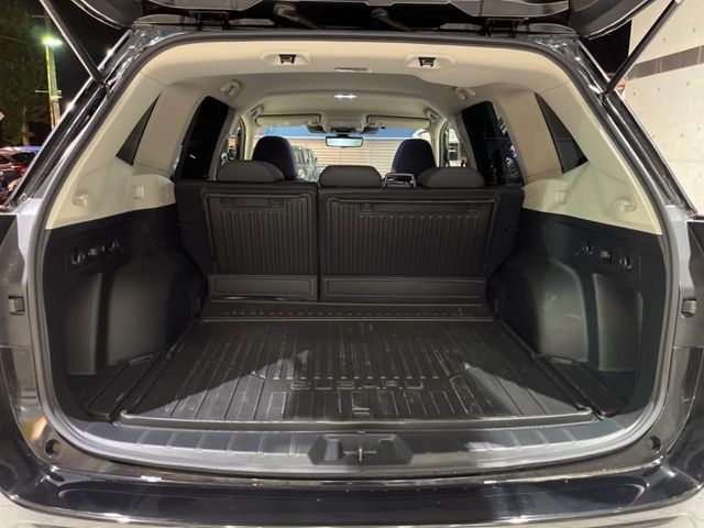 FORESTER