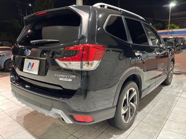 FORESTER