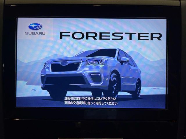 FORESTER
