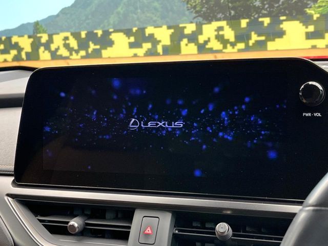 LEXUS UX250h