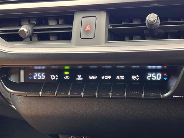 LEXUS UX250h