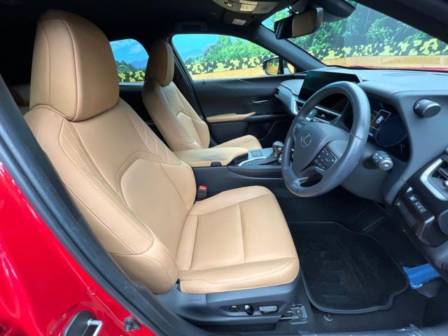 LEXUS UX250h