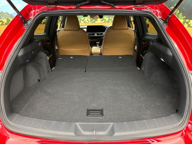 LEXUS UX250h