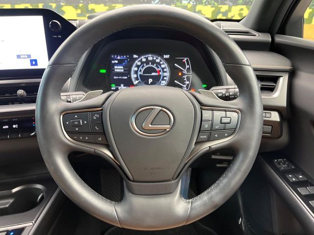 LEXUS UX250h
