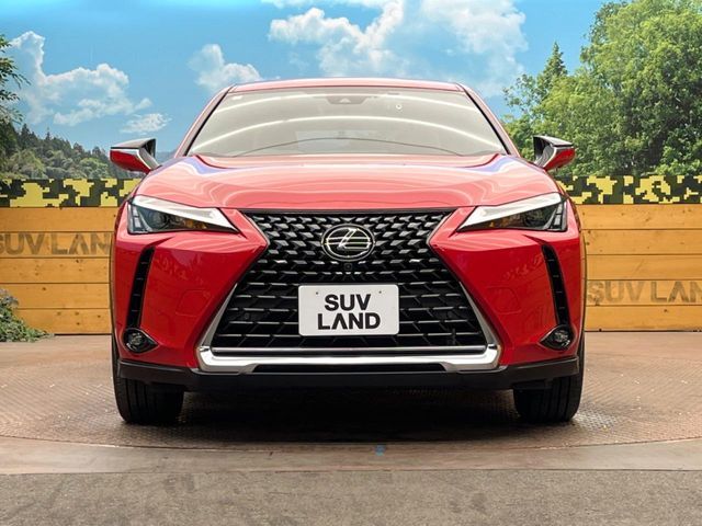 LEXUS UX250h